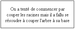 Zone de Texte: On a tent de commencer par couper les racines mais il a fallu se rsoudre  couper l'arbre  sa base
