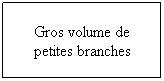 Zone de Texte: Gros volume de petites branches 
